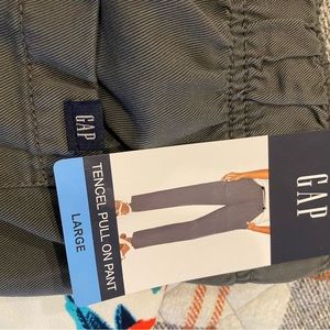 Gap pants